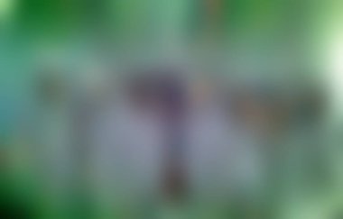 Bilgisayar Oluşturulmuş Arkaplan Grafikleri ve Dokuları