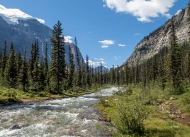 Banff Ulusal Parkı 'ndaki Annette Gölü' ne yürümek, ormanları ve nehirleri geçmek