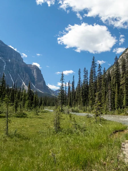 Túrázás Annette Tóhoz Banff Nemzeti Parkban Erdők Folyók Mellett — Stock Fotó