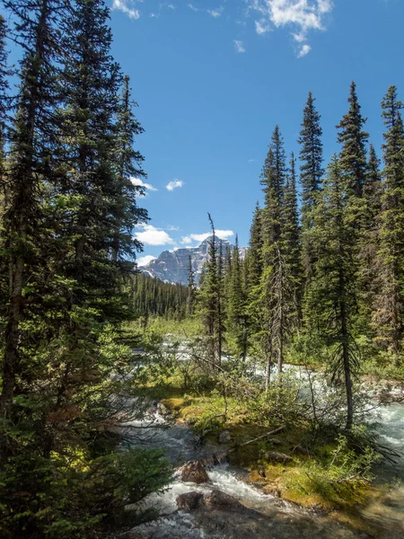 Pěší Turistika Jezeru Annette Národním Parku Banff Procházející Lesy Řeky — Stock fotografie