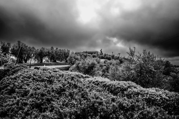 一场风暴聚集在托斯卡纳Vinci附近的乡间一条偏僻的路上 — 图库照片