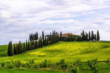 San Quirico d 'Orcia yakınlarındaki Orcia Vadisi' nin tepelerindeki çiftlik evleri ve villaları.