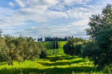 San Quirico d 'Orcia yakınlarındaki Orcia Vadisi' nin tepelerindeki çiftlik evleri ve villaları.