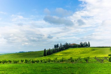 San Quirico d 'Orcia yakınlarındaki Orcia Vadisi' nin tepelerindeki çiftlik evleri ve villaları.