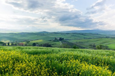 San Quirico d 'Orcia yakınlarındaki Orcia Vadisi' nin tepelerindeki çiftlik evleri ve villaları.