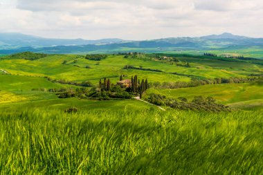 San Quirico d 'Orcia yakınlarındaki Orcia Vadisi' ndeki bir çiftliğin manzarası.