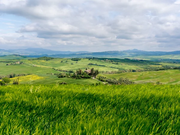 Vista Uma Fazenda Uma Colina Vale Orcia Perto San Quirico — Fotografia de Stock