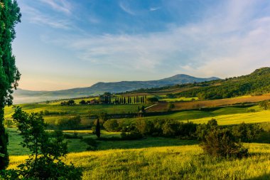San Quirico d 'Orcia' dan Val d 'Orcia' nın dalgalı tepeleri.