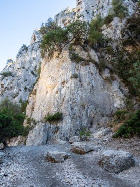 Fransa 'nın güneyinde Cassis yakınlarındaki Calanques Ulusal Parkı' nda