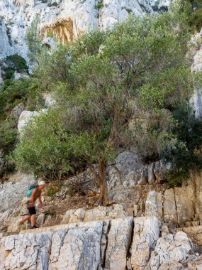 Fransa 'nın güneyinde Cassis yakınlarındaki Calanques Ulusal Parkı' nda yürüyüş yapan bir yürüyüşçü.