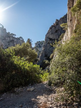 Fransa 'nın güneyinde Cassis yakınlarındaki Calanques Ulusal Parkı' nda