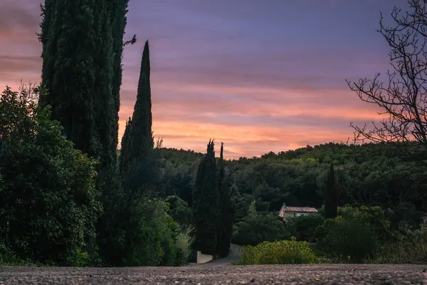 Een Spectaculaire Zonsondergang Een Bos Bij Cassis Provence Stockfoto