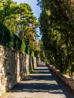 Bir Toskana köyünün renkli ortaçağ evleri ve sokakları