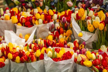 Amsterdam Çiçek Pazarı 'ndaki (