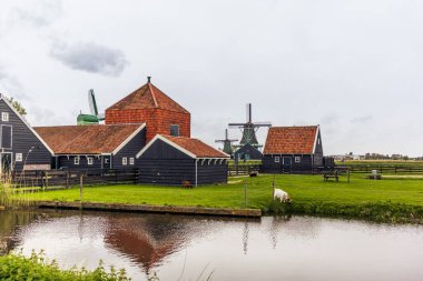 Hollanda 'daki Zaanse Schans köyünde eski evler, ahşap kayıklar ve çiftlikler.
