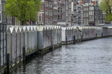 İlkbaharda Amsterdam Çiçek Pazarı (Bloemenmarkt)