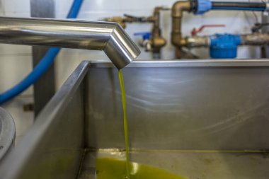 Taze saf zeytinyağı Toskana 'daki bir değirmende soğuktan akıyor.