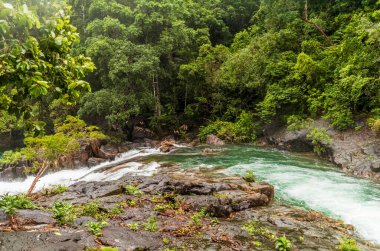 Yağmur mevsiminde Koh Chang Ulusal Parkı 'nda Khlong Phlu' nun patikası ve şelalesi
