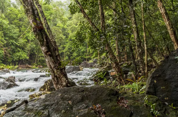 Yağmur mevsiminde Koh Chang Ulusal Parkı 'nda Khlong Phlu' nun patikası ve şelalesi