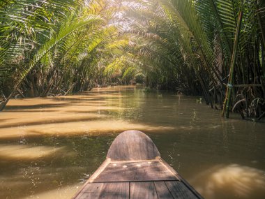 Vietnam 'da Ben Tre' deki dar su kanallarında küçük kürek tekneleri ve örnekler.