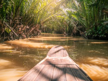 Vietnam 'da Ben Tre' deki dar su kanallarında küçük kürek tekneleri ve örnekler.