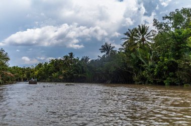 Vietnam 'da Ben Tre' deki dar su kanallarında küçük kürek tekneleri ve örnekler.
