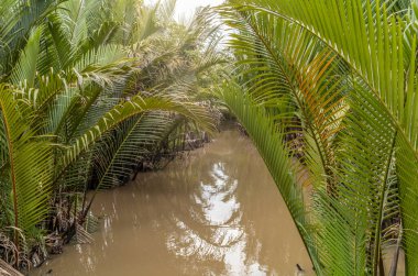 Small paddle boats and sampans in the narrow water canals in Ben Tre in Vietnam clipart