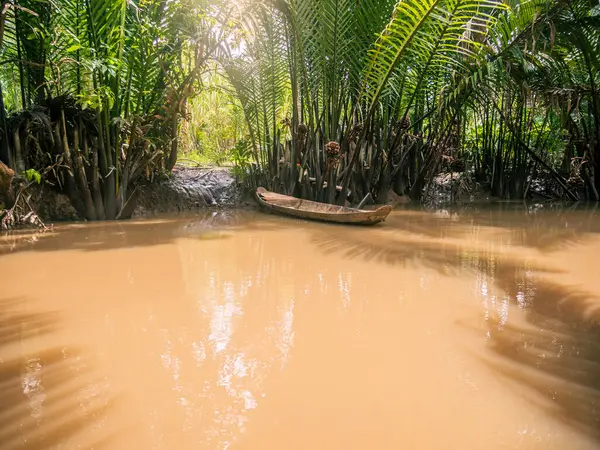 Vietnam 'da Ben Tre' deki dar su kanallarında küçük kürek tekneleri ve örnekler.