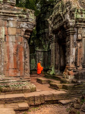 Kamboçya ormanlarındaki Ta Prohm tapınağının kalıntılarında genç bir Budist keşiş.