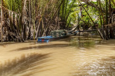 Vietnam 'da Ben Tre' deki dar su kanallarında küçük kürek tekneleri ve örnekler.