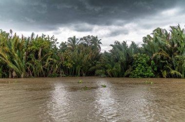 Vietnam 'daki Ben Tre kanallarına muson yağmurları ve fırtınaları
