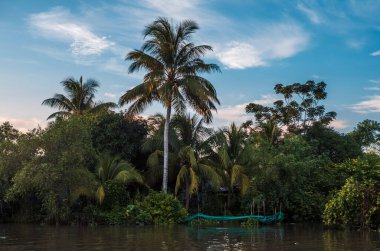 Vietnam 'daki Can Tho kanallarının sessiz sularına yansıyan palmiye ağaçları, tekneler ve binalar.