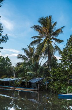 Vietnam 'daki Can Tho kanallarının sessiz sularına yansıyan palmiye ağaçları, tekneler ve binalar.