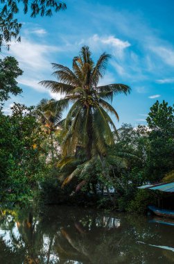 Vietnam 'daki Can Tho kanallarının sessiz sularına yansıyan palmiye ağaçları, tekneler ve binalar.