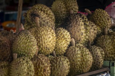 Kamboçya 'daki Kep pazarında durian meyvesi satan bir çiftçi.