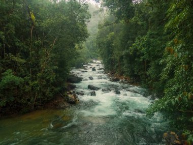 Yağmur mevsiminde Koh Chang Ulusal Parkı 'nda Khlong Phlu' nun patikası ve şelalesi