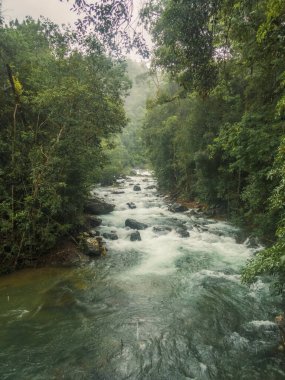 Yağmur mevsiminde Koh Chang Ulusal Parkı 'nda Khlong Phlu' nun patikası ve şelalesi