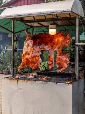 Kamboçya 'da Siem Reap yakınlarında bir domuz ızgarada kızarmıştı.