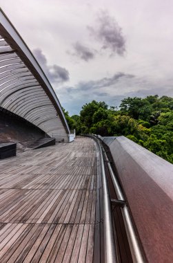 Singapur 'daki Faber Dağı' nda Henderson Dalgaları 'nın yaya köprüsü.
