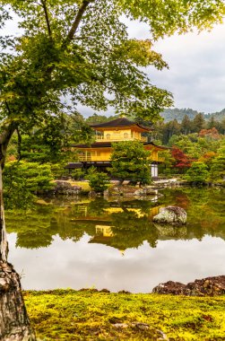 Kyoto 'daki Altın Pavyon sonbaharda göletin sakin sularını yansıtıyor.