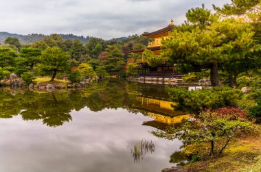 Kyoto 'daki Altın Pavyon sonbaharda göletin sakin sularını yansıtıyor.