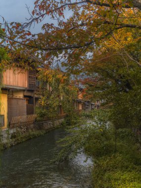 Wooden old houses and colorful trees in autumn along the Shirakawa canal in Kyoto clipart