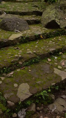 Yosunlu Doğal Taş Kırsal Yol Tasarımı Adımları