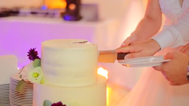 Nowożeńcy Kroją Piękny Tort Weselny Ozdobiony Kwiatami Wideo Stockowe bez tantiem