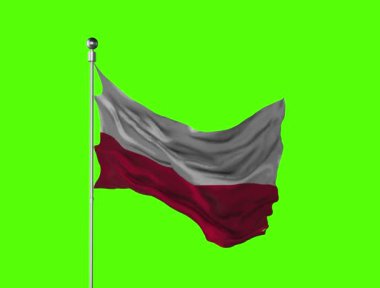 Polonya bayrağı 3D dalgalanırken bayrak direği ile renklendiriliyor