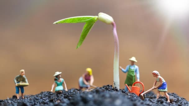 Miniatyr Människor Trädgårdsmästare Sköter Växande Sprout Miljö Koncept Fältet Royaltyfri Stockvideo