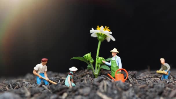 Miniature People Gardeners Take Care Growing Plants Field Environment Concept Stock Footage