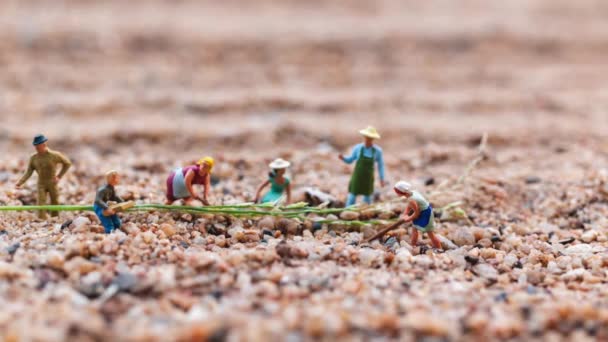 微型人 农民工作地块在沙漠与复制空间放置您的文本 农业概念 — 图库视频影像