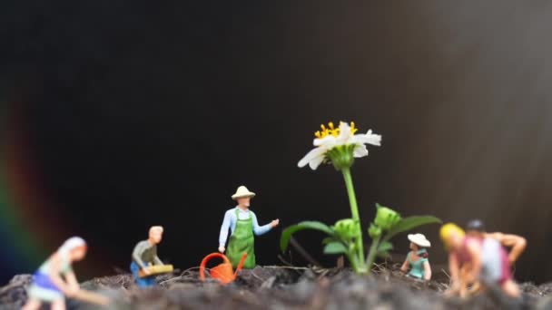 Miniature People Gardeners Take Care Growing Plants Field Environment Concept Video Clip