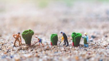 Miniature people : Gardeners Harvesting a vegetables  , Agriculture concept